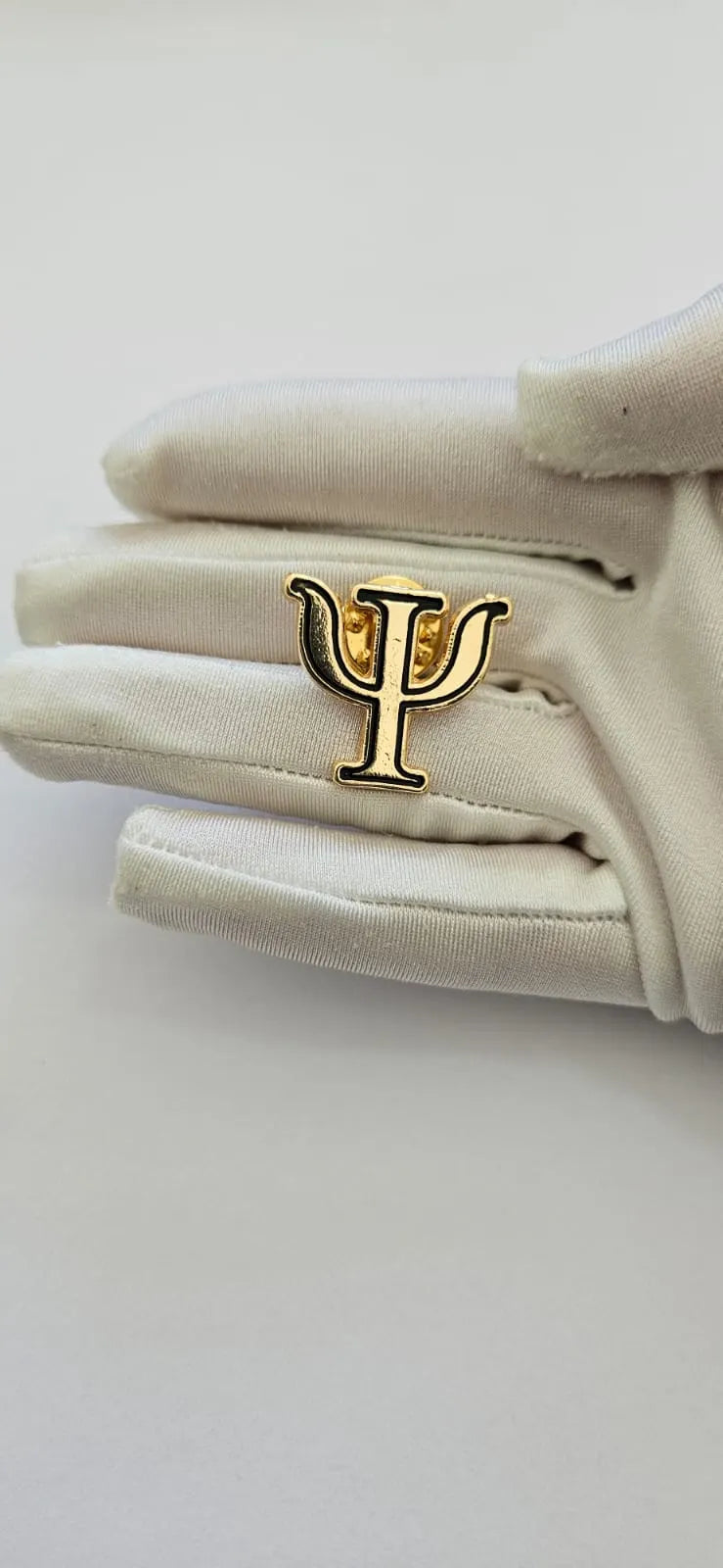 Pin Metalicos